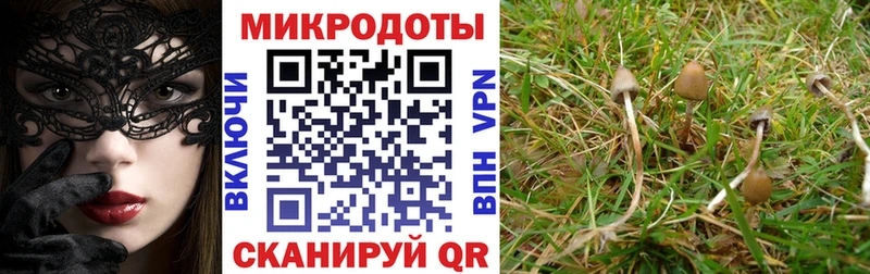 Купить где Уфа Псилоцибиновые грибы мухоморы